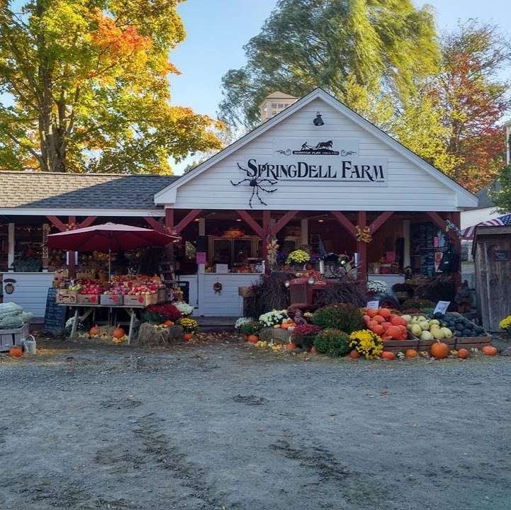 SpringDell Farm | 571 Great Rd, Littleton, MA 01460, USA | Phone: (978) 486-3865