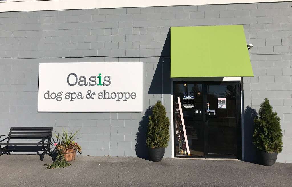 Oasis Dog Spa & Shoppe | 2911 Centre Ave Unit #2, Reading, PA 19605, USA | Phone: (610) 816-5492