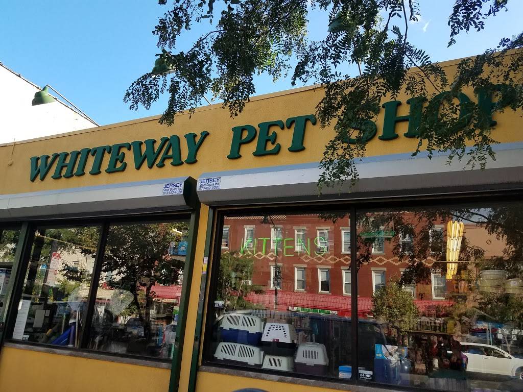 Whiteway Pet Shop | 950 Elizabeth Ave, Elizabeth, NJ 07201, USA | Phone: (908) 353-8610