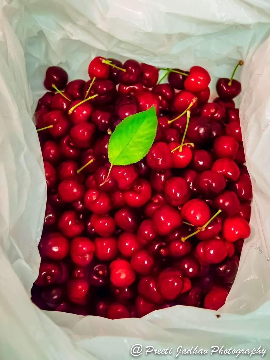 Bloomfield Cherries | 501 Payne Ave, Brentwood, CA 94513, USA | Phone: (925) 550-5539