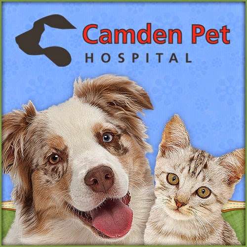 Camden Pet Hospital | 4960 Camden Ave, San Jose, CA 95124, USA | Phone: (408) 265-2200