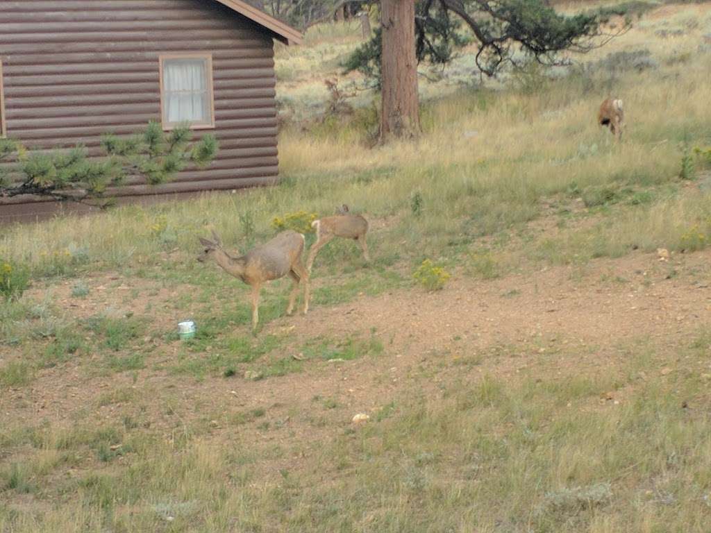 Everhart | Estes Park, CO 80517