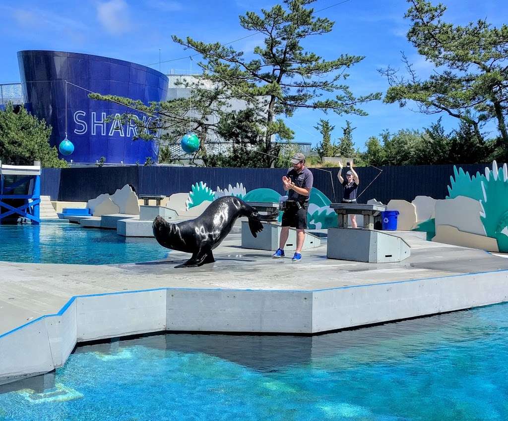 New York Aquarium | 602 Surf Ave, Brooklyn, NY 11224, USA | Phone: (718) 265-3474