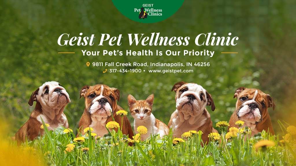 Geist Pet Wellness Clinic | 9811 Fall Creek Rd, Indianapolis, IN 46256, USA | Phone: (317) 827-0970