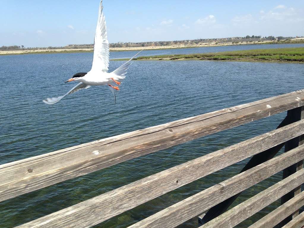 Bolsa Chica Wetlands Brightwater Trailhead | Huntington Beach, CA 92649, USA | Phone: (714) 846-1114