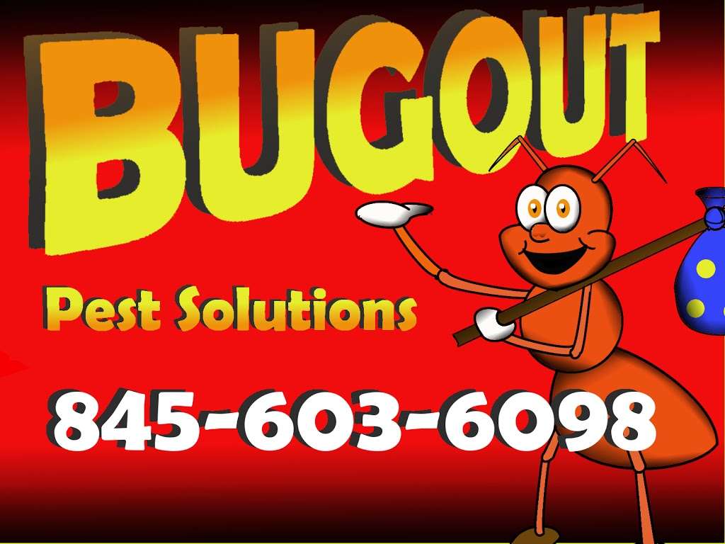 Bugout Pest Solutions | 284 Lake Dr, Lake Peekskill, NY 10537, USA | Phone: (845) 603-6098