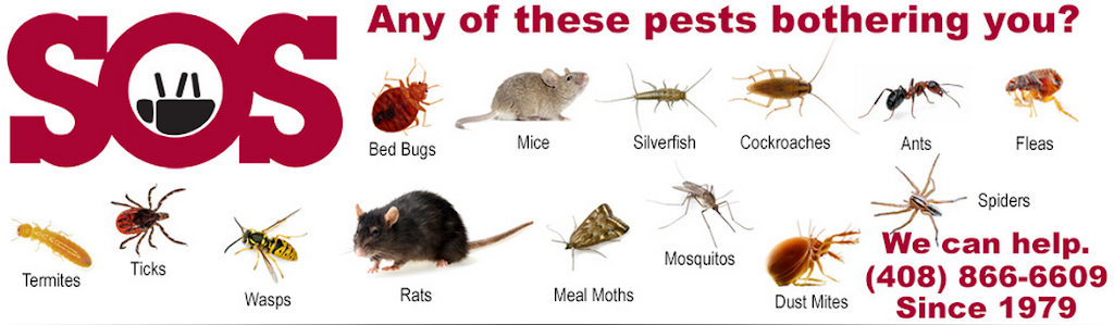 SOS Pest Control | 214 Cristich Ln, Campbell, CA 95130, USA | Phone: (408) 866-6609