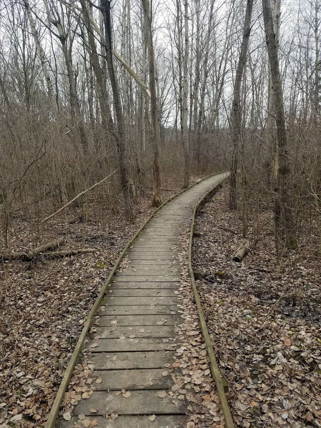 Kettle Moraine Low Prairie State Natural Area | Stark Rd, Eagle, WI 53119, USA | Phone: (608) 266-0394