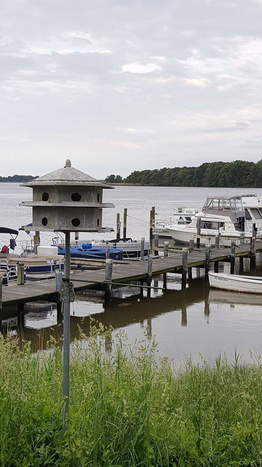 Rolphs Wharf Marina | 1008 Rolphs Wharf Rd, Chestertown, MD 21620 | Phone: (410) 778-6389