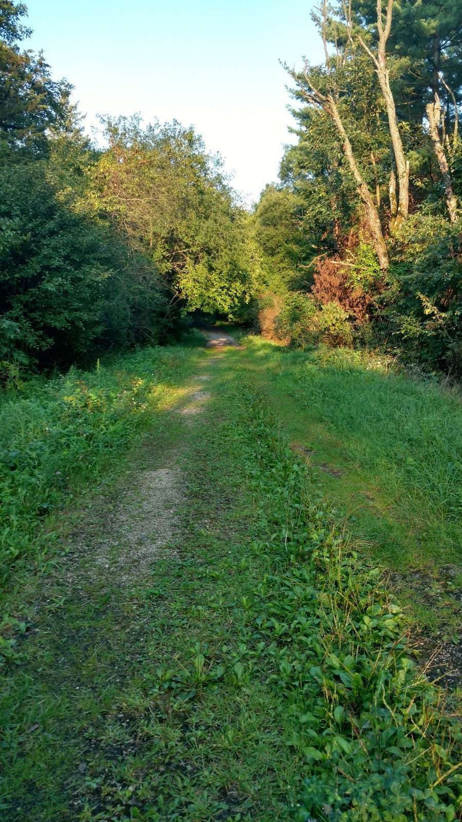 Stute Springs & Homestead Nature Trail | Co Rd Z, Eagle, WI 53119 | Phone: (262) 594-6200