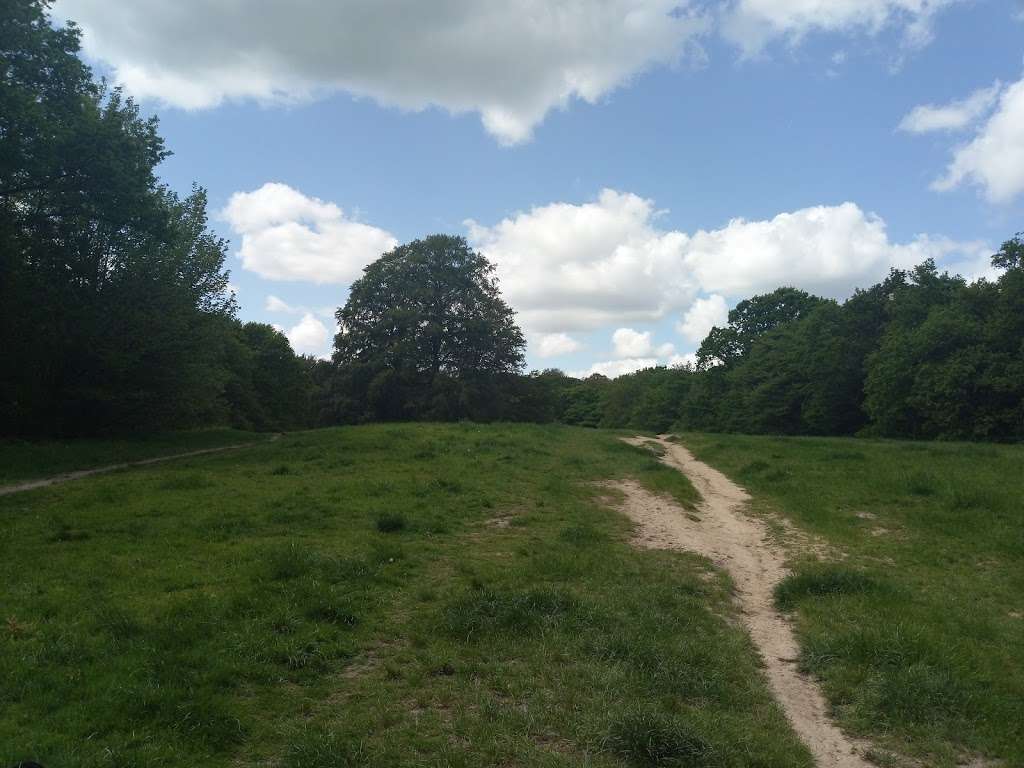 Loughton Brook Storage Pond | 5 Staples Rd, Loughton IG10 1HP, UK
