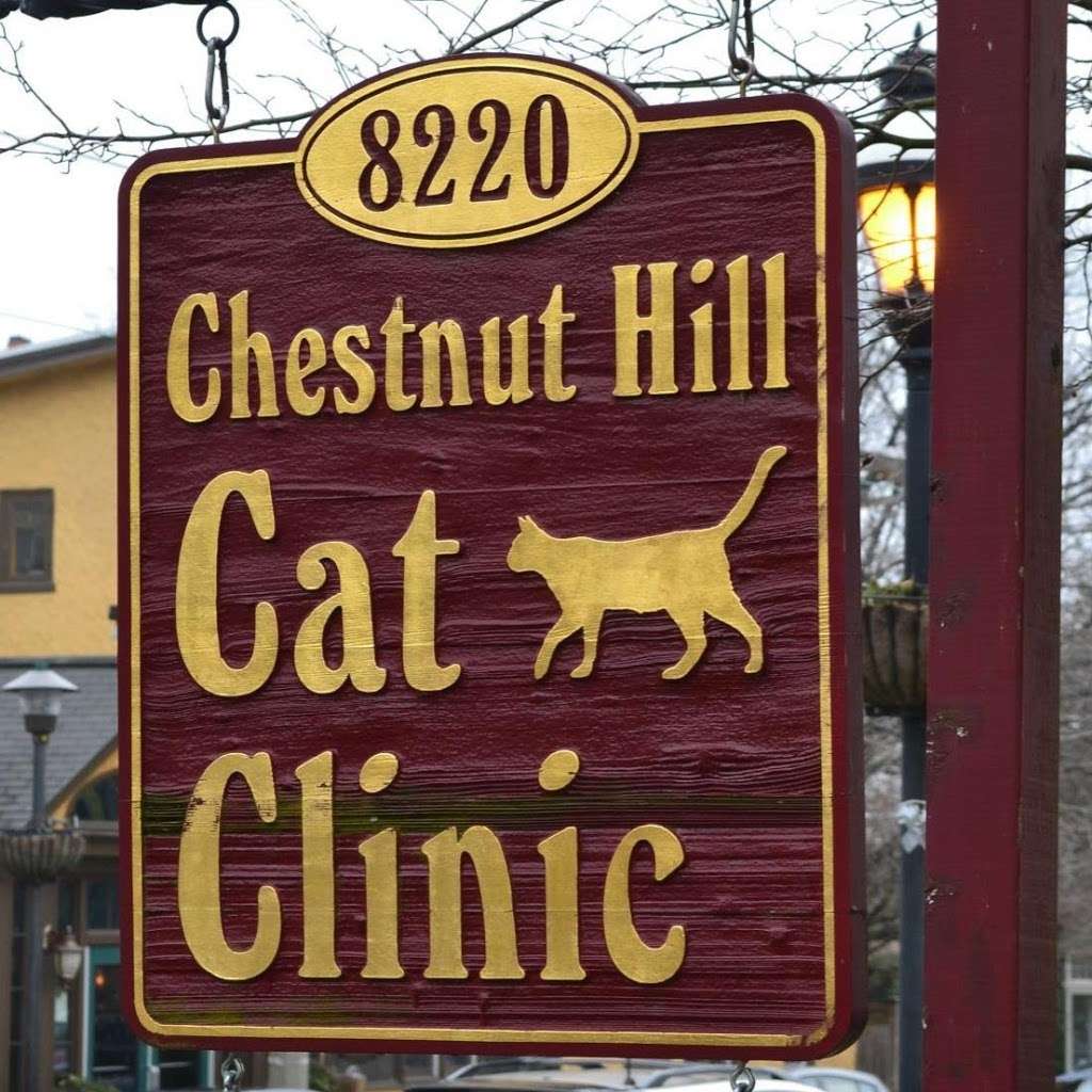 Chestnut Hill Cat Clinic | 8220 Germantown Ave, Philadelphia, PA 19118, USA | Phone: (215) 247-9560