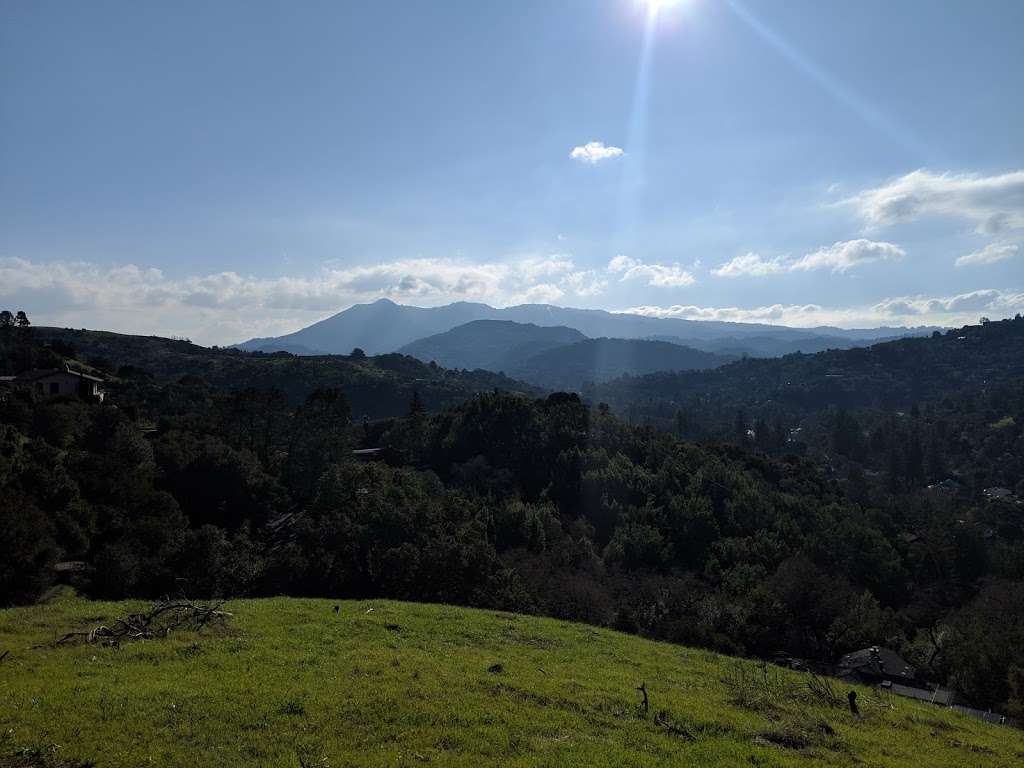 Terra Linda Sleepy Hollow Ridge | Manuel T Freitas Pkwy, San Rafael, CA 94903, USA Terra Linda Sleepy Hollow Ridge | Manuel T Freitas Pkwy, San Rafael, CA 94903, USA