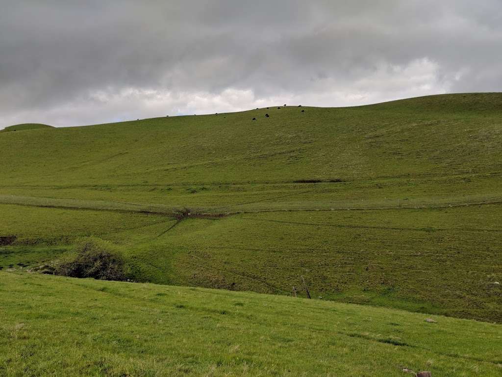 Mountain Bike Trail | Ripple Rouge Rd, Pittsburg, CA 94565, USA