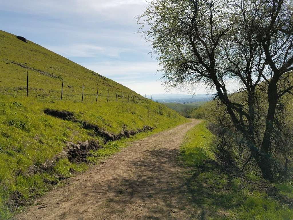 Brushy Peak Regional Preserve | 2234 Laughlin Rd, Livermore, CA 94551, USA | Phone: (888) 327-2757