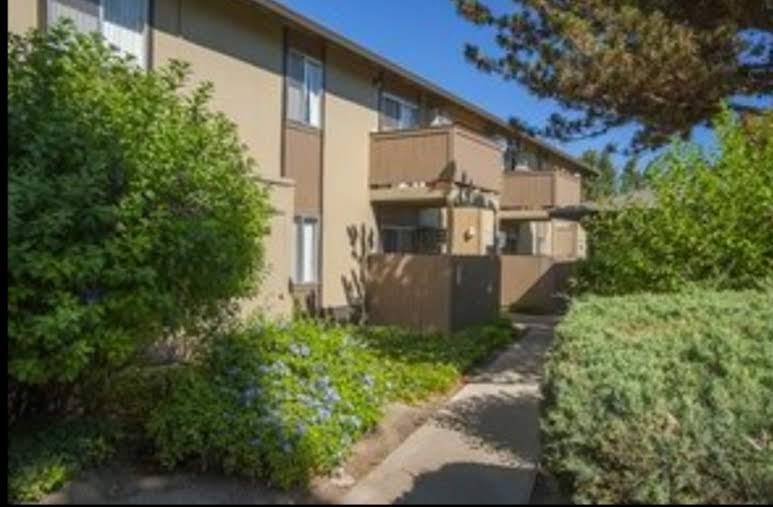 Driftwood-Edgewood Apartments | 1390 Castlemont Ave, San Jose, CA 95128, USA | Phone: (408) 378-6617