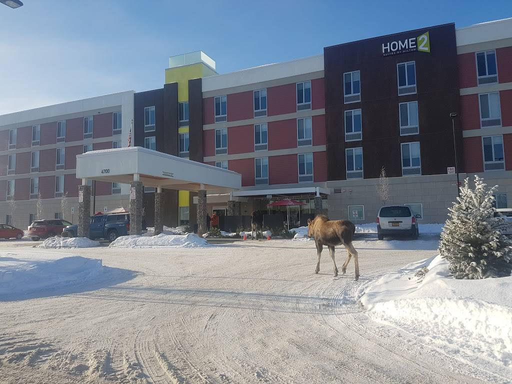 Home2 Suites by Hilton Anchorage/Midtown | 4700 Union Square Dr, Anchorage, AK 99503, USA | Phone: (907) 561-5618
