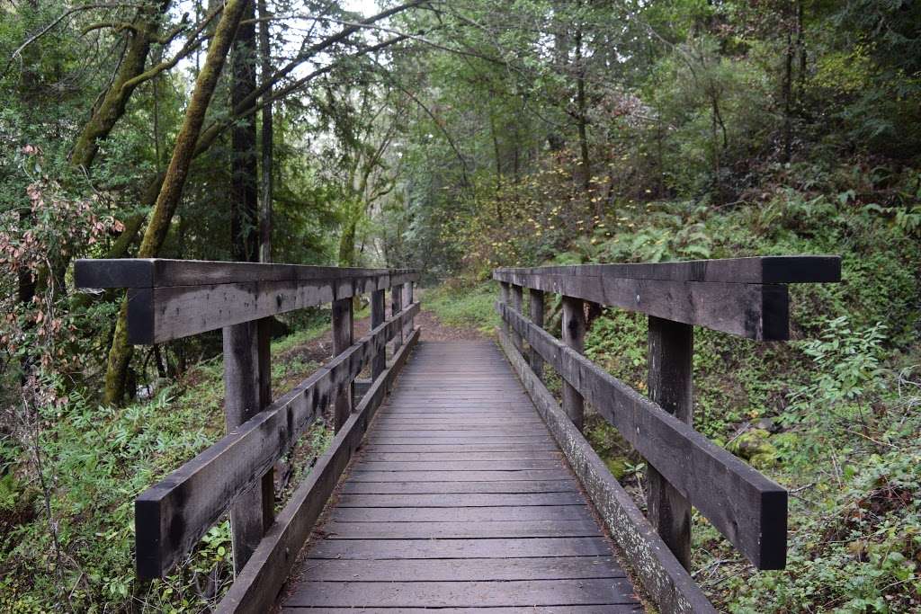 Leo T Cronin Fish Viewing Area | Sir Francis Drake Blvd, Lagunitas, CA 94968, United States