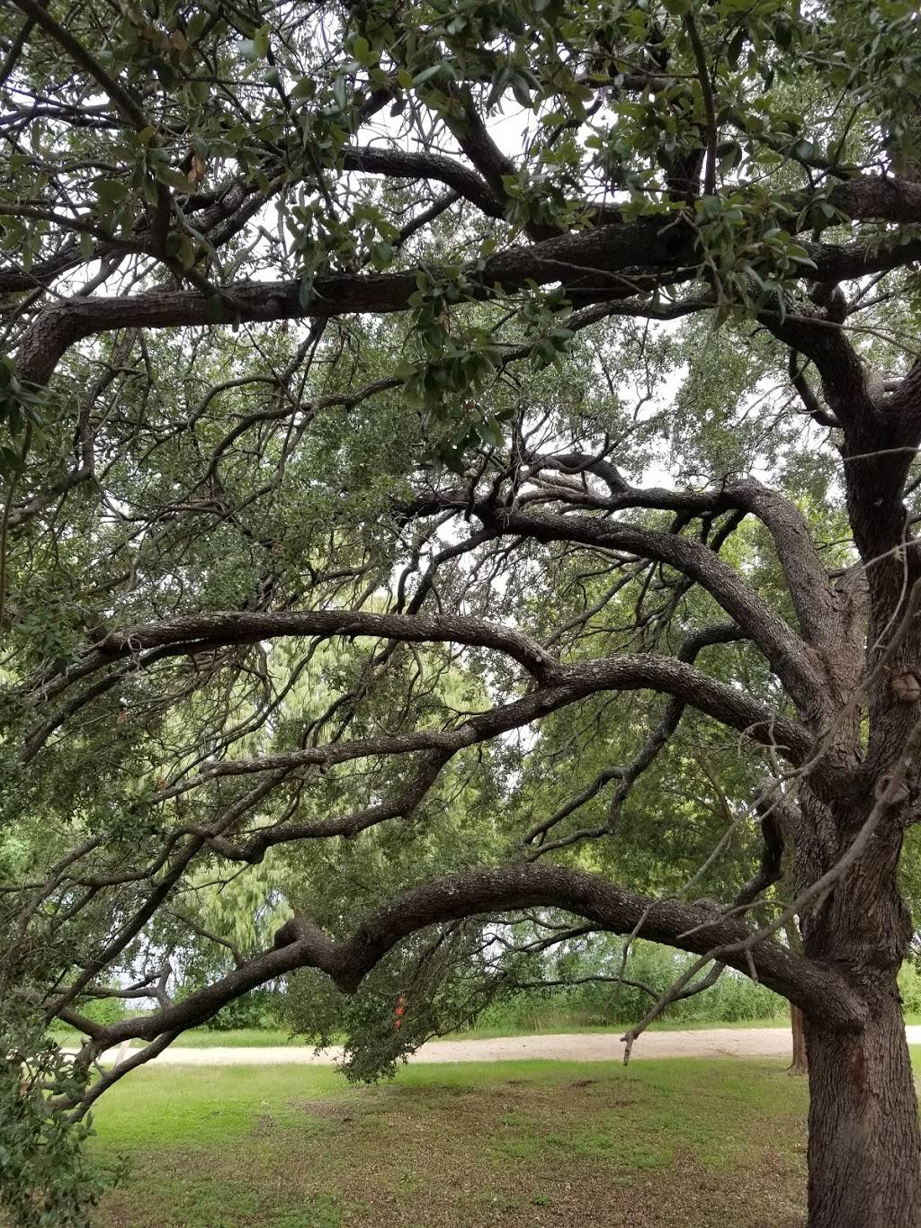 Peace Point at Lady Bird Lake Metropolitan Park | 2200 S Lakeshore Blvd, Austin, TX 78741, USA | Phone: (512) 974-6700