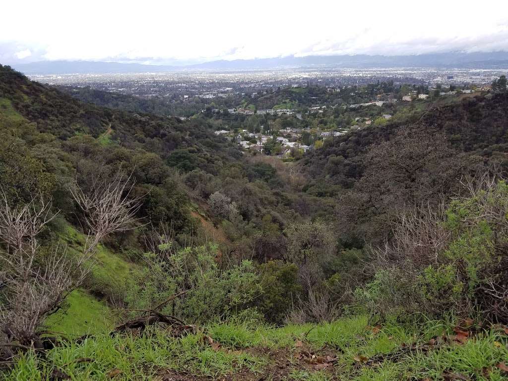 Nancy Hoover Pohl Overlook at Fryman Canyon | 8401 Mulholland Dr, Los Angeles, CA 90046, USA | Phone: (310) 858-7272