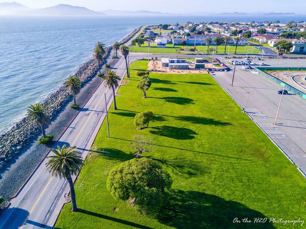 Great Lawn | Avenue of the Palms, San Francisco, CA 94130, USA | Phone: (415) 274-0688