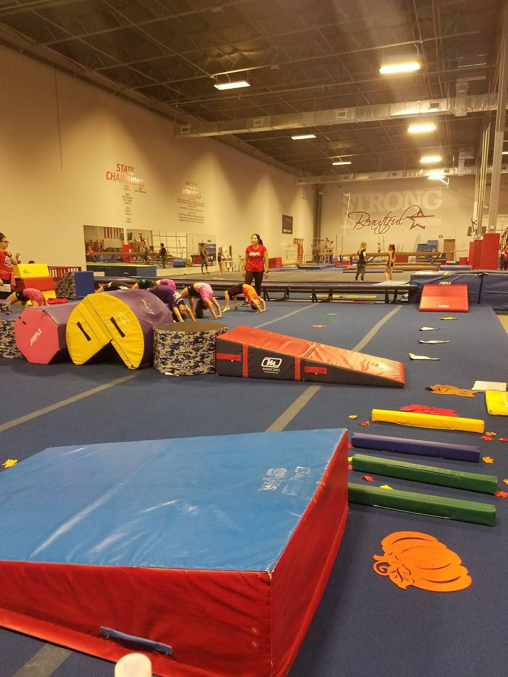 Gold Medal Gymnastics | 455 E Warner Rd, Chandler, AZ 85225, USA | Phone: (480) 857-7335