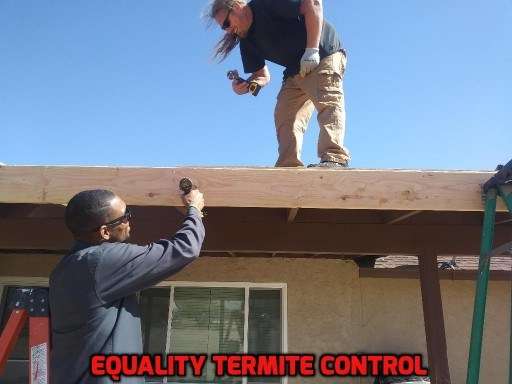 Equality Termite Control | 15460 Wanaque Rd, Apple Valley, CA 92307, USA | Phone: (760) 523-9866