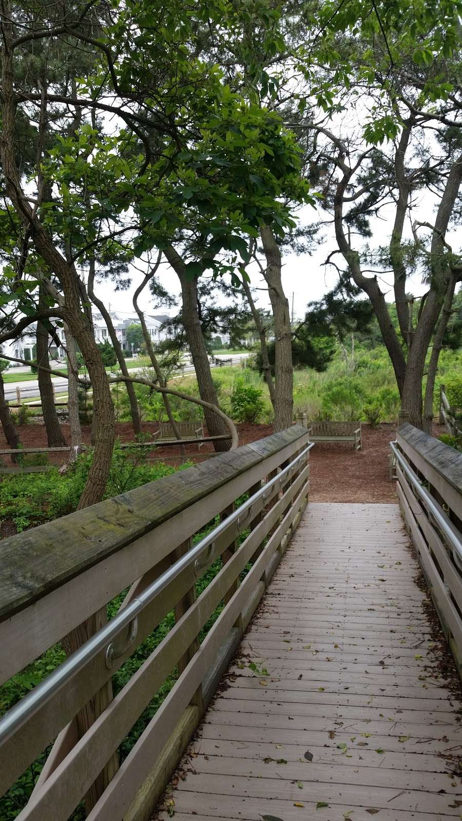 Stone Harbor Bird Sanctuary | 11400 3rd Ave, Stone Harbor, NJ 08247, USA