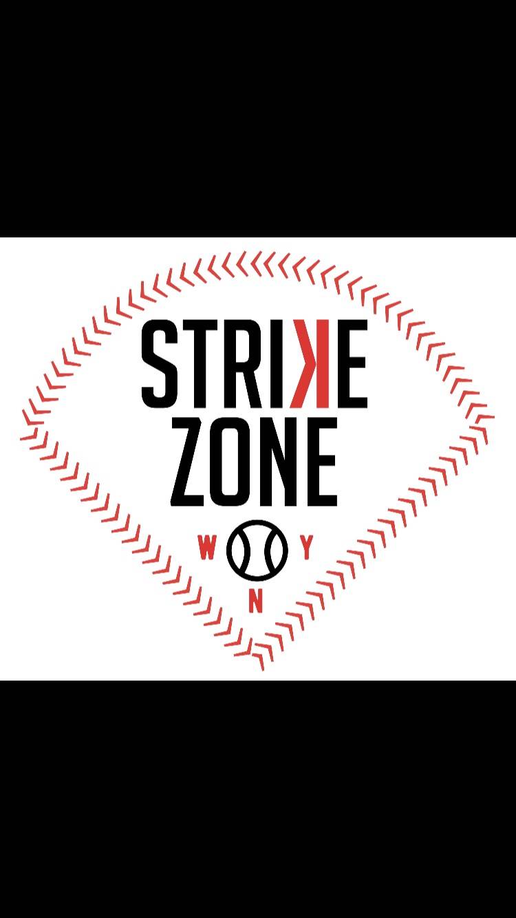 WNY Strike Zone | 4600 Witmer Industrial Estates STE 7, Niagara Falls, NY 14305, USA | Phone: (716) 523-5627