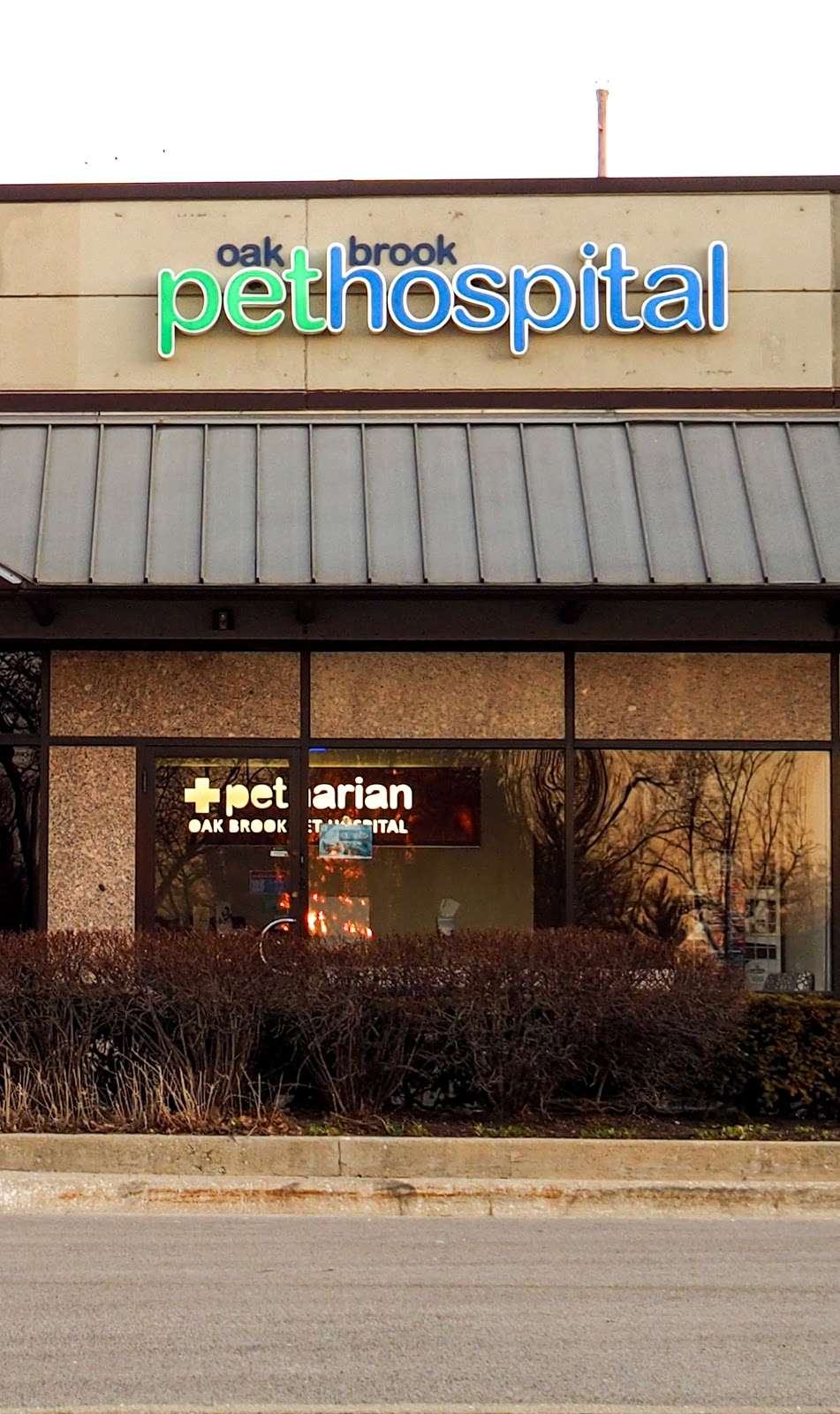 Oak Brook Pet Hospital | 1600 16th St T-16, Oak Brook, IL 60523, USA | Phone: (630) 974-6987