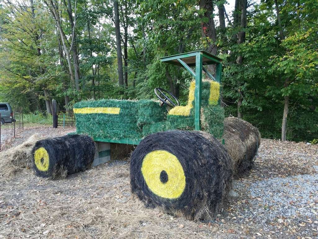 Blackburn Growers & Garden Center | 46 US-206, Branchville, NJ 07826, USA | Phone: (973) 948-3700