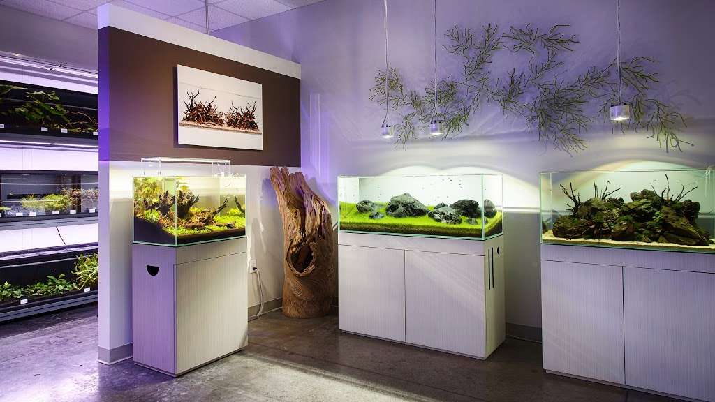 5000 Aquarium Design Group Texas HD