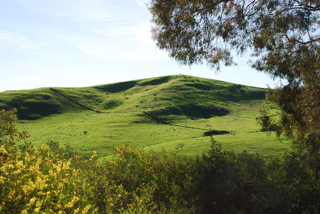 Eucalyptus Trail Loop | Chino Hills, CA 91709, USA