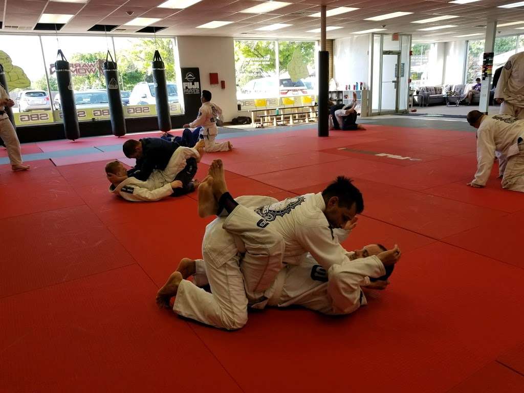 SBG Illinois Martial Arts and Fitness | 1341 Manor Ct, Elgin, IL 60123 | Phone: (224) 325-5246