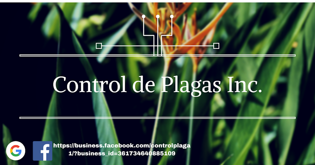 HC Control de Plagas | 6450 Wingate St, Alexandria, VA 22312, USA | Phone: (703) 220-4090