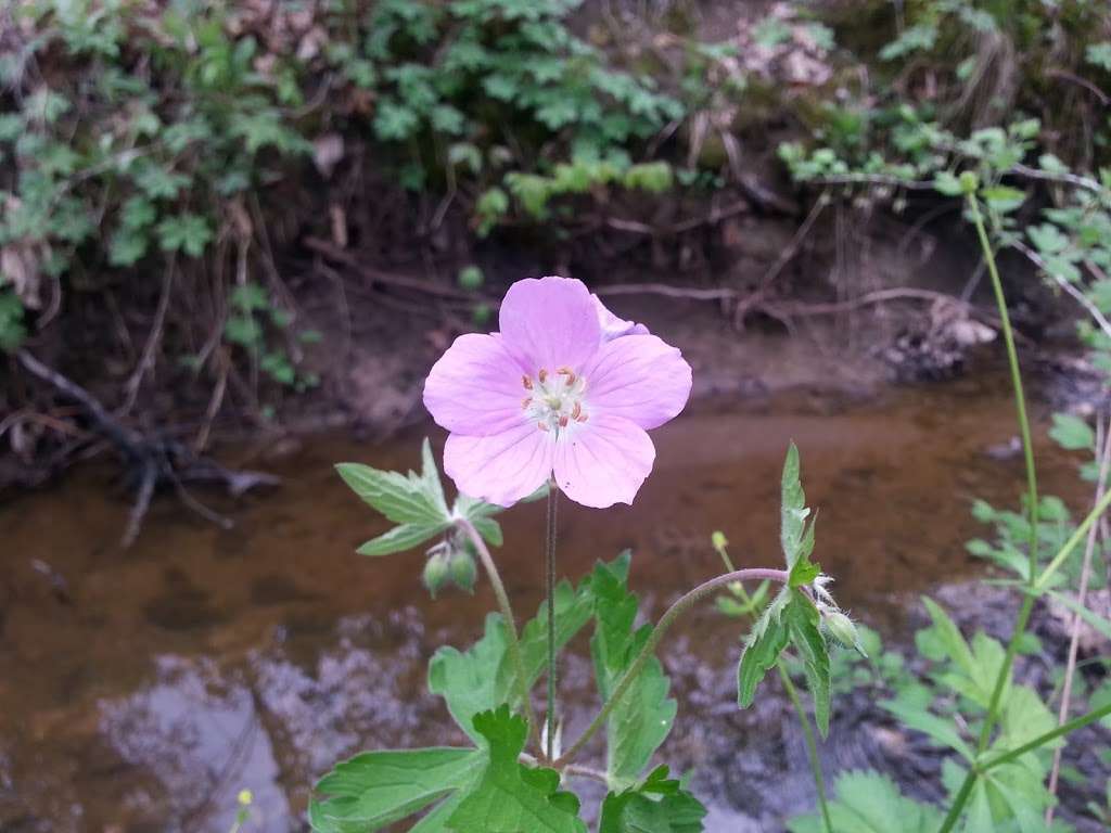 Camp Alphonse | 1393 W Dundee Rd, Palatine, IL 60067, USA | Phone: (800) 870-3666