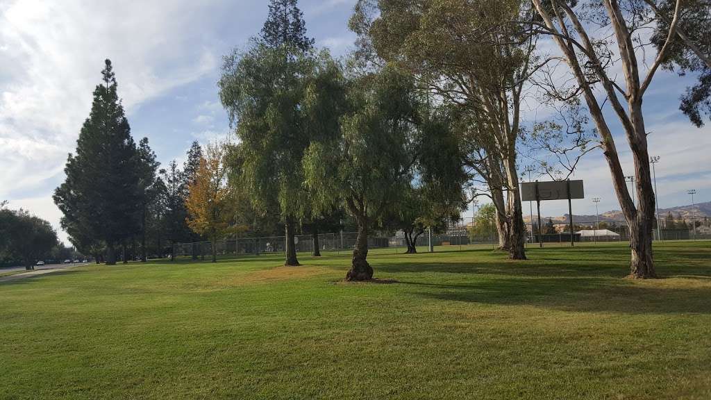 Laurel Creek Park | 2986 Gulf Dr, Fairfield, CA 94533, USA | Phone: (707) 428-7428