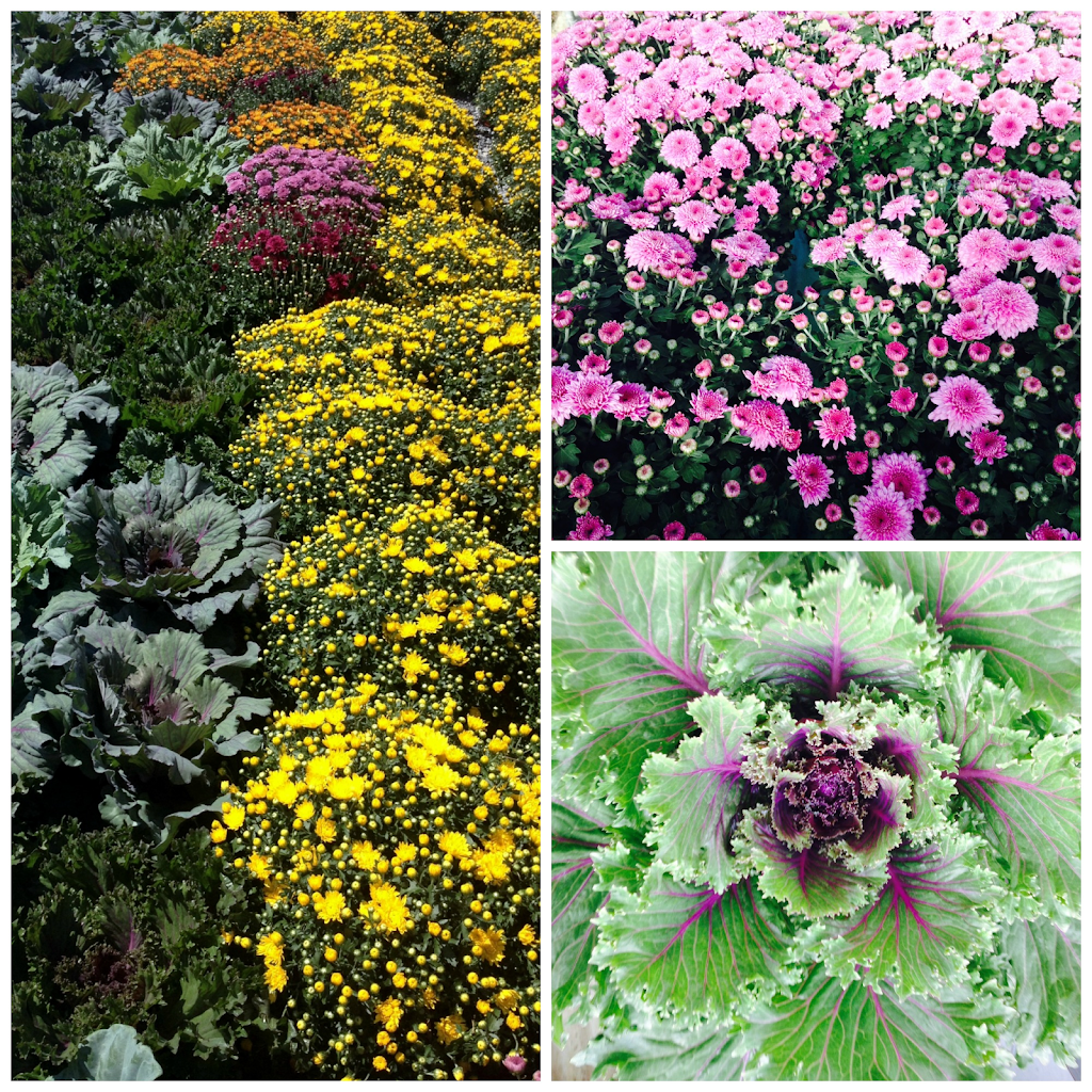 Wintergreen Landscape Maintenance & Nursery | 5405 Leonardtown Rd, Waldorf, MD 20601, USA | Phone: (301) 392-0660