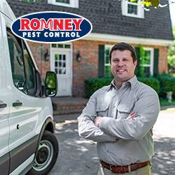 Romney Pest Control | 16920 Kuykendahl Rd, Houston, TX 77068, USA | Phone: (281) 781-7650