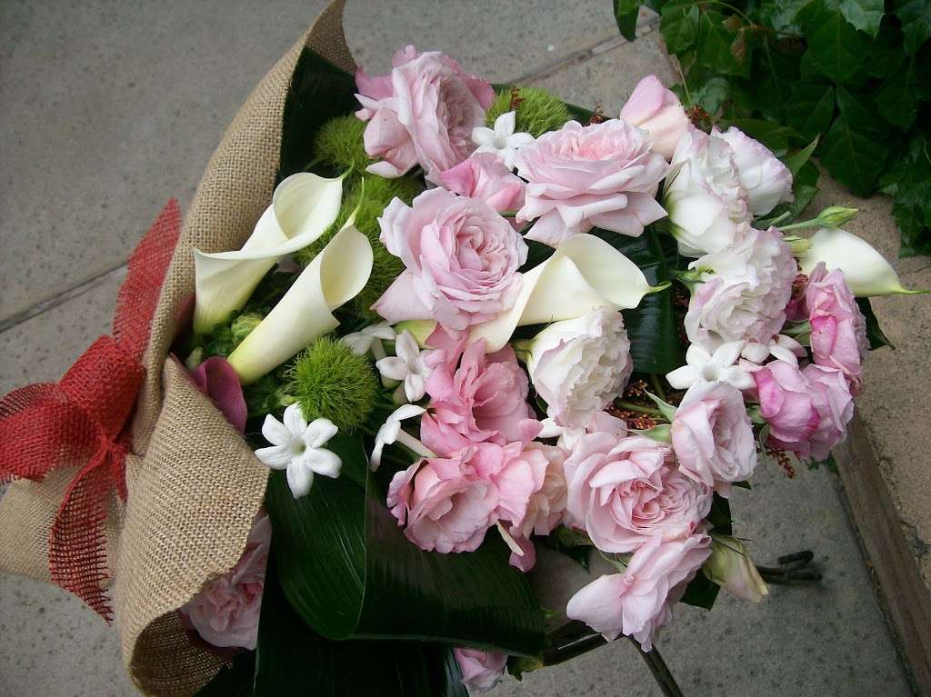 French Florist by Alber | 11920 Chandler Blvd, Valley Village, CA 91607, USA | Phone: (818) 506-1661 French Florist by Alber | 11920 Chandler Blvd, Valley Village, CA 91607, USA | Phone: (818) 506-1661