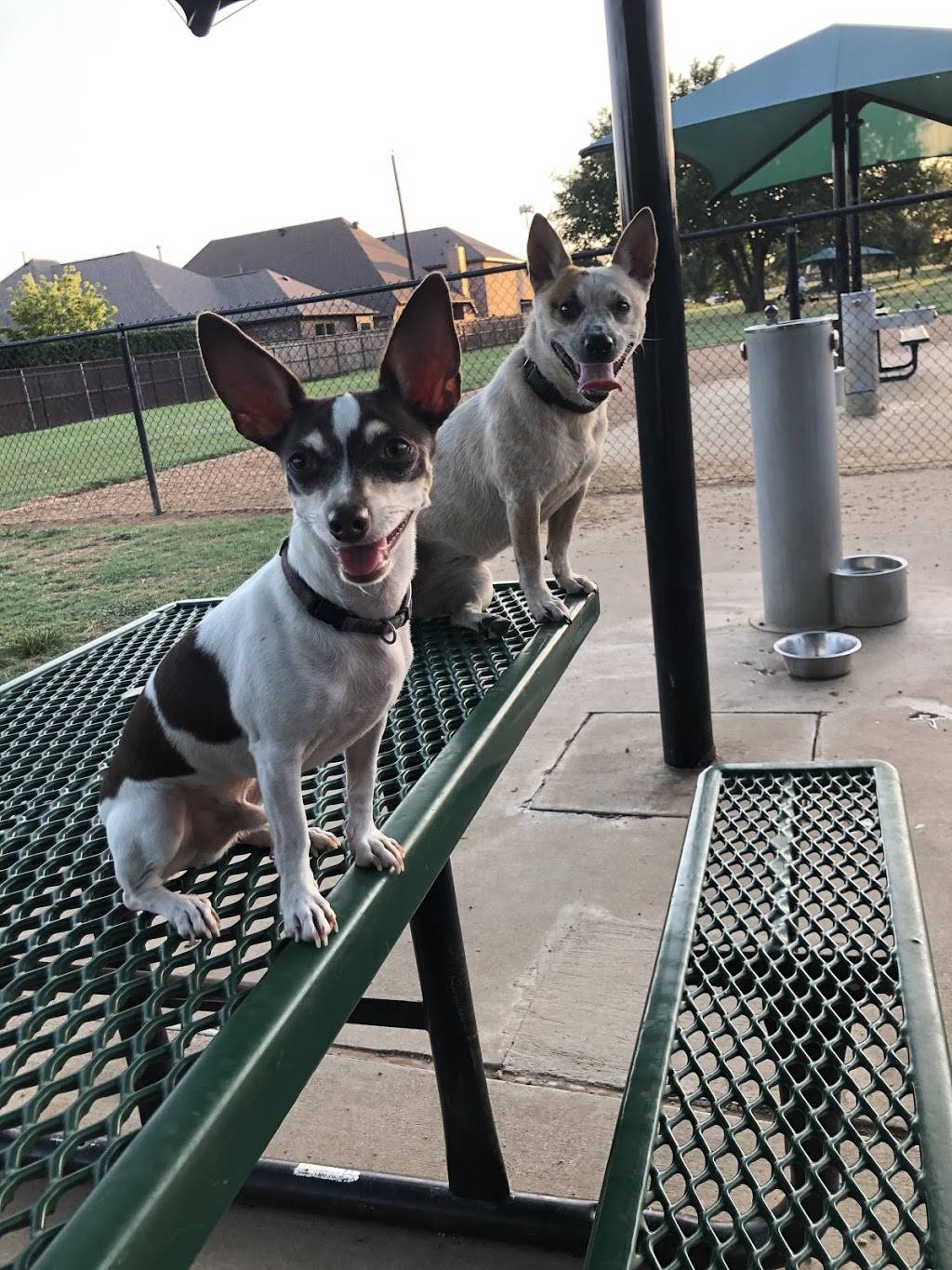 NRH Tipps Canine Hollow Dog Park | 7804 Davis Blvd, North Richland Hills, TX 76182, USA | Phone: (817) 427-6620