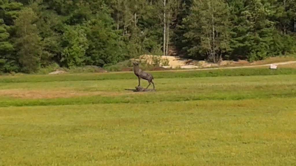 The Nature Trail and Cranberry Bog | 252 Patriot Pl, Foxborough, MA 02035, USA