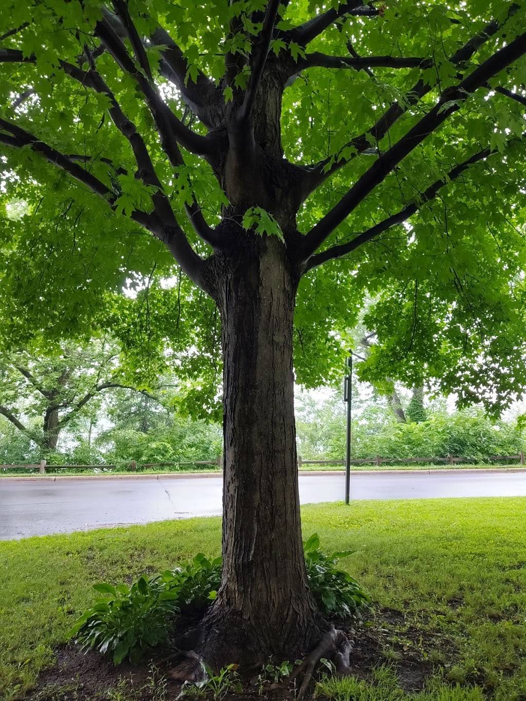 Minnesota Zen Meditation Center | 3343 E Bde Maka Ska Pkwy, Minneapolis, MN 55408, USA | Phone: (612) 822-5313