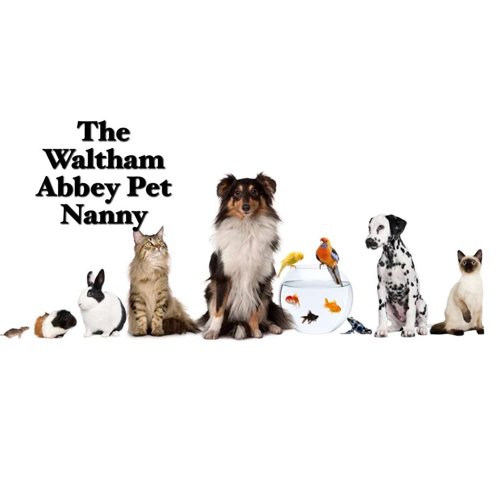 The Waltham Abbey Pet Nanny | 21 Walton Gardens, Waltham Abbey EN9 1BL, UK | Phone: 01992 700142