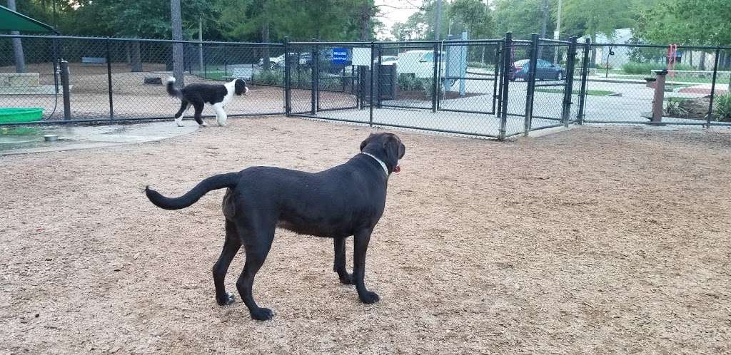 Bear Branch Dog Parks | 5200 Research Forest Dr, The Woodlands, TX 77381, USA | Phone: (281) 210-3800