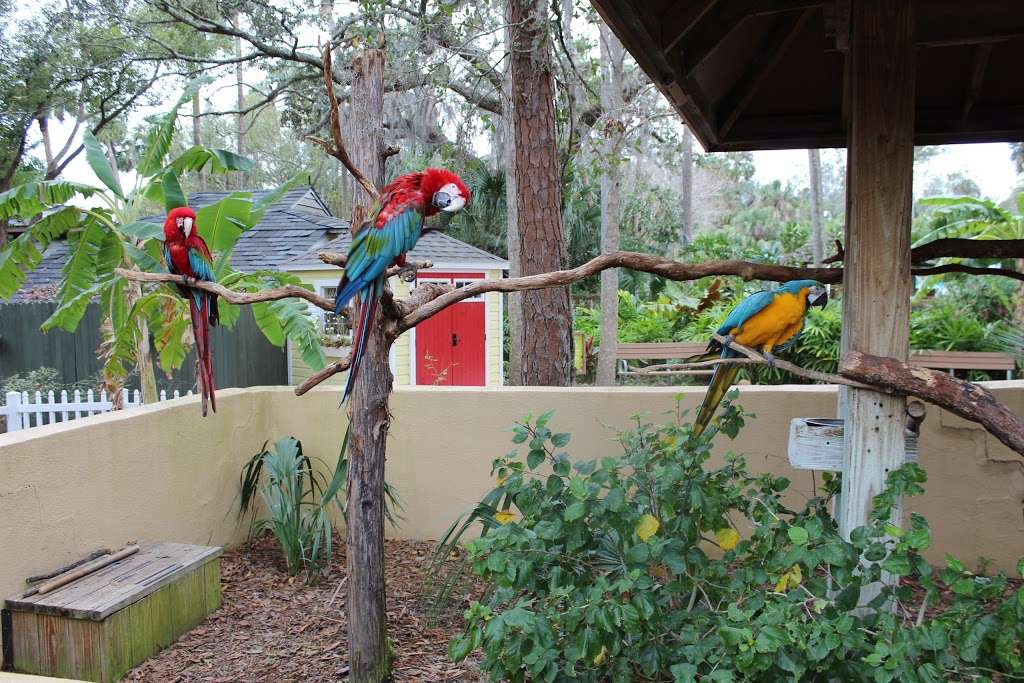 Central Florida Zoo & Botanical Gardens | 3755 W Seminole Blvd, Sanford, FL 32771, USA | Phone: (407) 323-4450