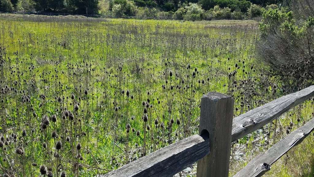 China Camp Back Ranch Meadows Campground Entrance | San Rafael, CA 94903, USA