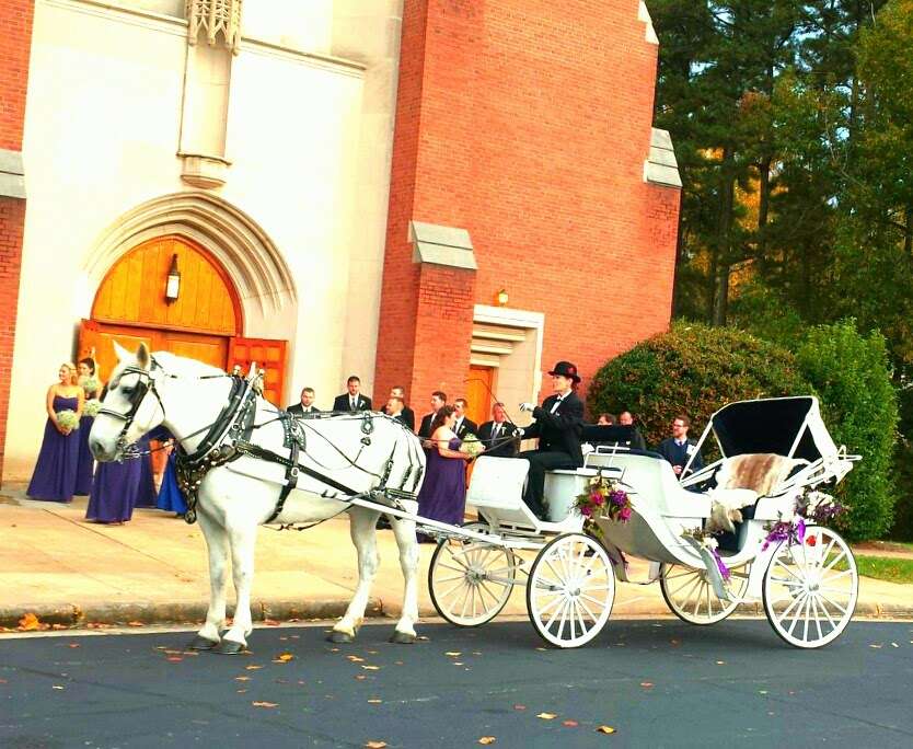 Horse & Carriage Ltd | 3210 Old Mocksville Rd, Salisbury, NC 28144 | Phone: (704) 633-0852