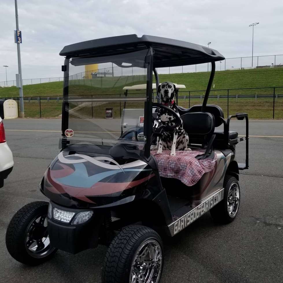 Garys Golf Carts | 2348 North St, Lincolnton, NC 28092 | Phone: (704) 735-4241