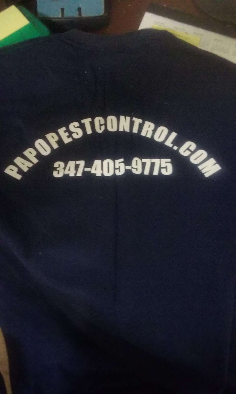 Papo Pest Control | 100 Hart St Apt 2B, Brooklyn, NY 11206, USA | Phone: (347) 405-9775